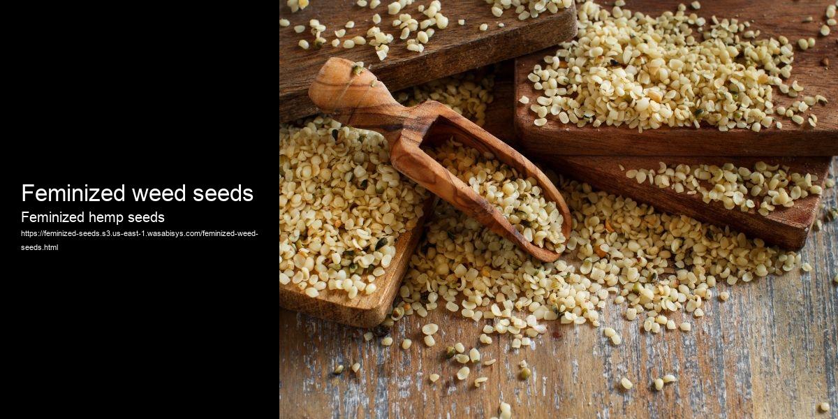 Feminized weed seeds